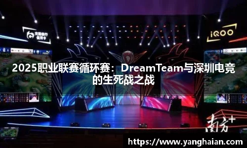 2025职业联赛循环赛：DreamTeam与深圳电竞的生死战之战